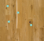 Beispiele für die unterschiedlichen Holzmerkmale bei Parkett.